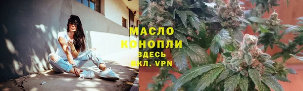 твердый Медногорск