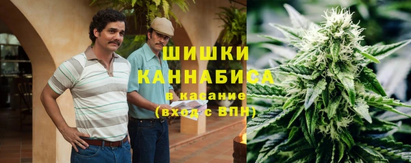 сатива Магадан
