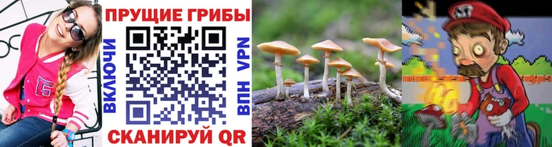 купить наркотики сайты  Зарайск  MEGA ONION  мориарти официальный сайт  Галлюциногенные грибы MAGIC MUSHROOMS 